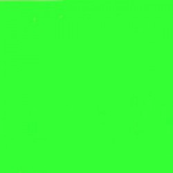 Peinture Fluo VERTE 1l